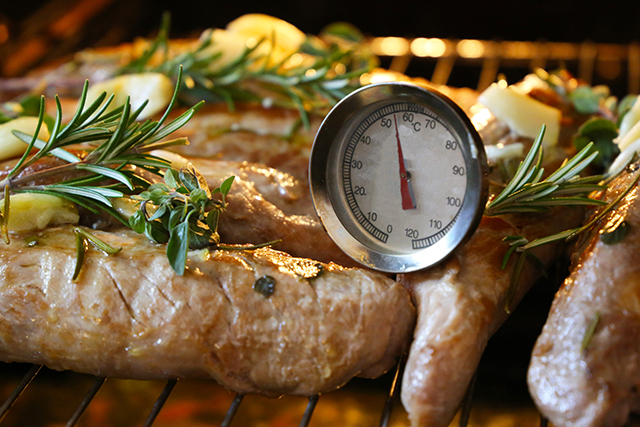 Commercial Food Warmer